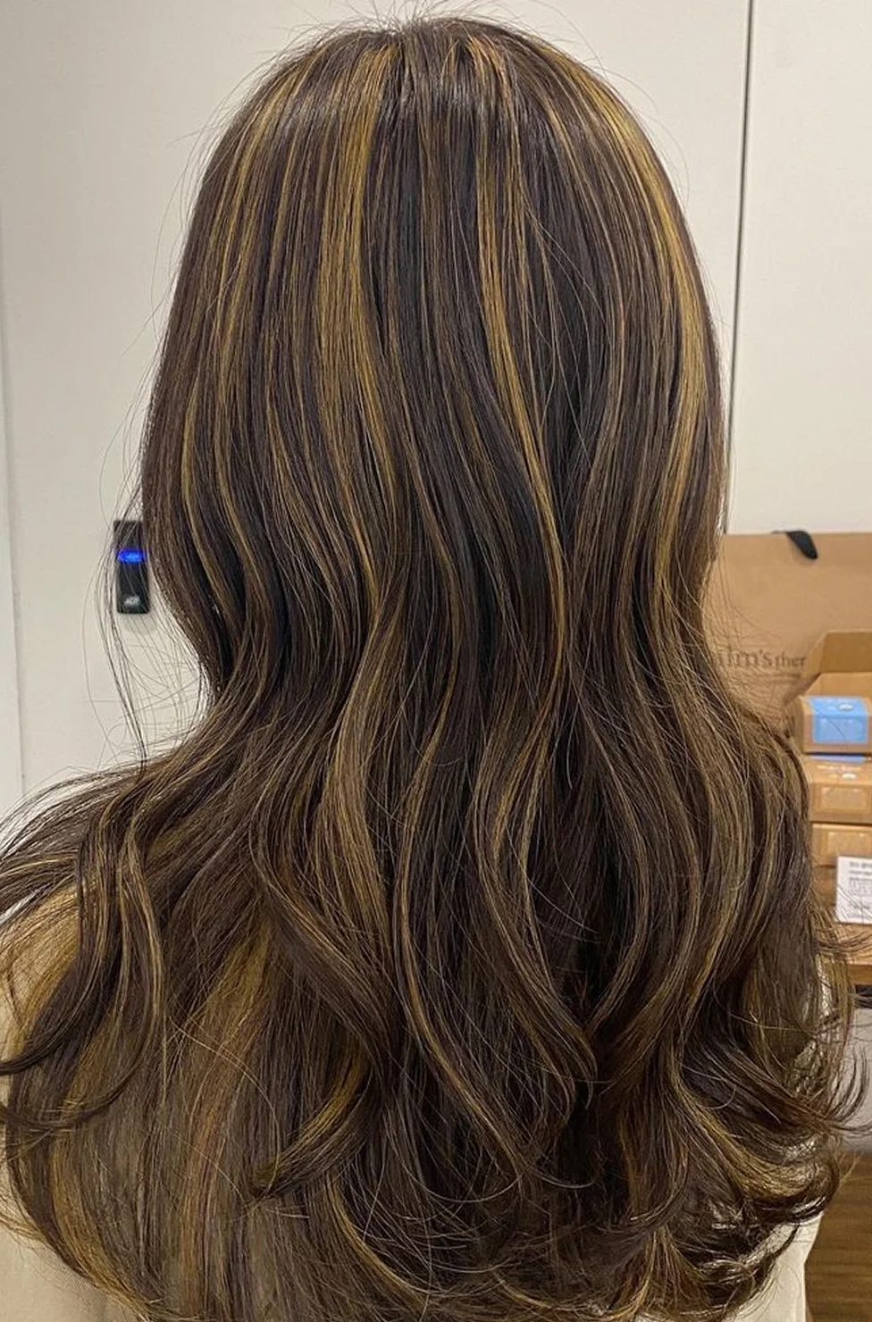 Back view of a person’s shoulder-length brown hair with subtle blonde highlights and soft waves.